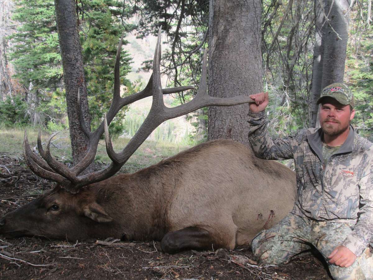 Elk Hunting in Nevada