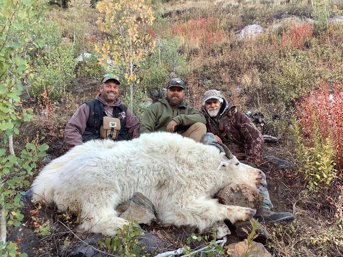 Mountain Goat Hunting in Nevada