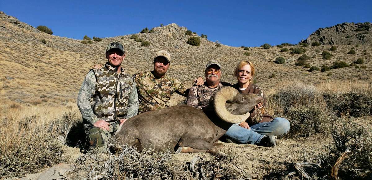 Bighorn Sheep Hunting Nevada