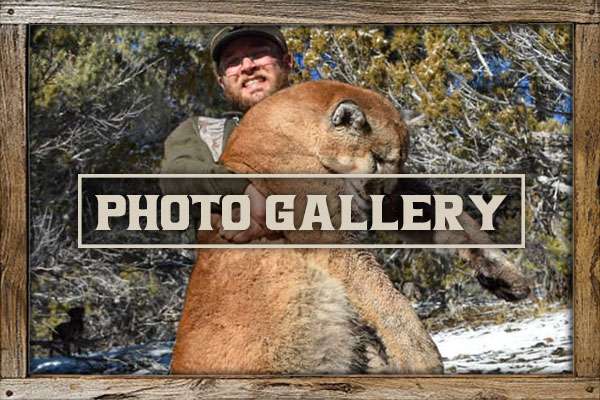 Photo Gallery